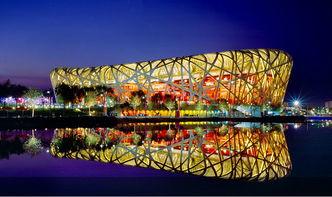 日本鸟巢网,探索日本生态与鸟类之美